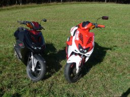 quadracer